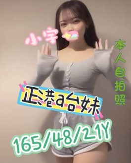 嘉義外送/定點茶 – 小宇 21歲 D罩杯 4500 可愛小公主肌膚白嫩