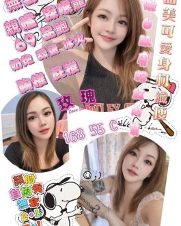 高雄定點茶 – 玫瑰 23歲 C罩杯 2300 氣質女王抱抱甜蜜