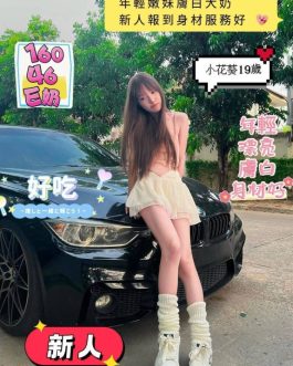 台南定點茶 – 小花葵 19歲 E罩杯 3900 純慾女友肌膚滑嫩