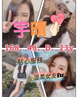 台北/桃園外送茶 – 宇晴 23歲 D罩杯 20K 氣質正妹抱抱甜辣