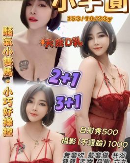 桃園定點茶 – 小芋圓 23歲 D罩杯 3000 美女女友氣質滿分