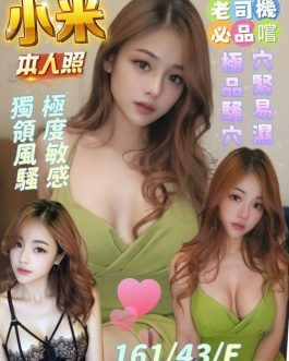 雲林定點茶 – 小米 23歲 E罩杯 2500 氣質女王笑容誘人